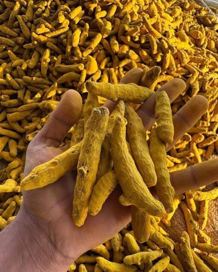 Turmeric